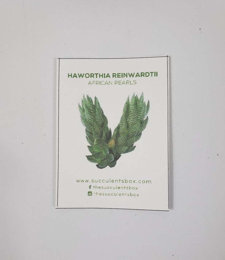 Succulents Box March 2019 - Haworthia Reinwardtii “African Pearls” Info Card Top