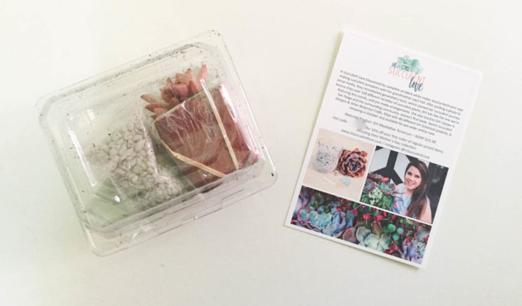 California Found Subscription Box Review April 2019 - DIY Meditative Terrarium by In Succulent Love 1 Top