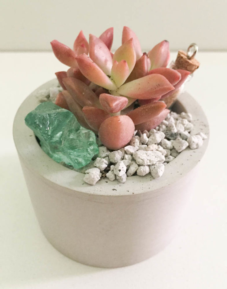 California Found Subscription Box Review April 2019 - DIY Meditative Terrarium by In Succulent Love 5 Top