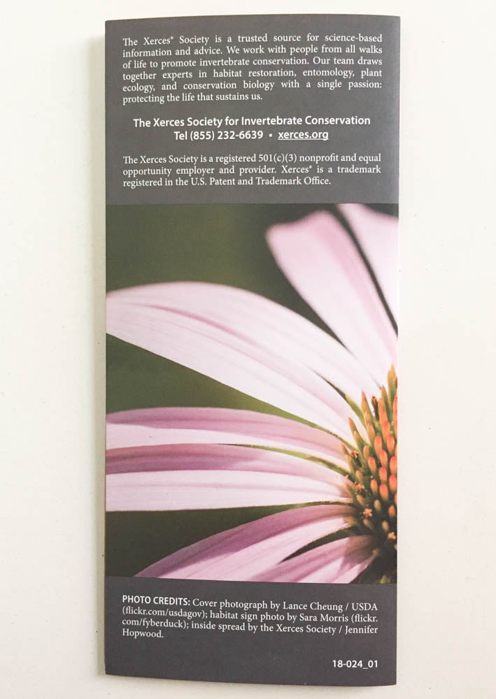 Earthlove Subscription Box Review Spring 2019 - Xerces Society Poster 4 Top
