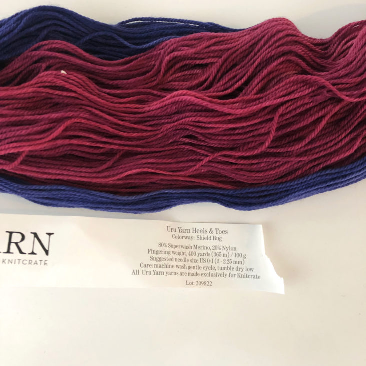 KnitCrate Sock Crate April 2019 Review - Uru.Yarn by KnitCrate in color Shield Bug Label Top