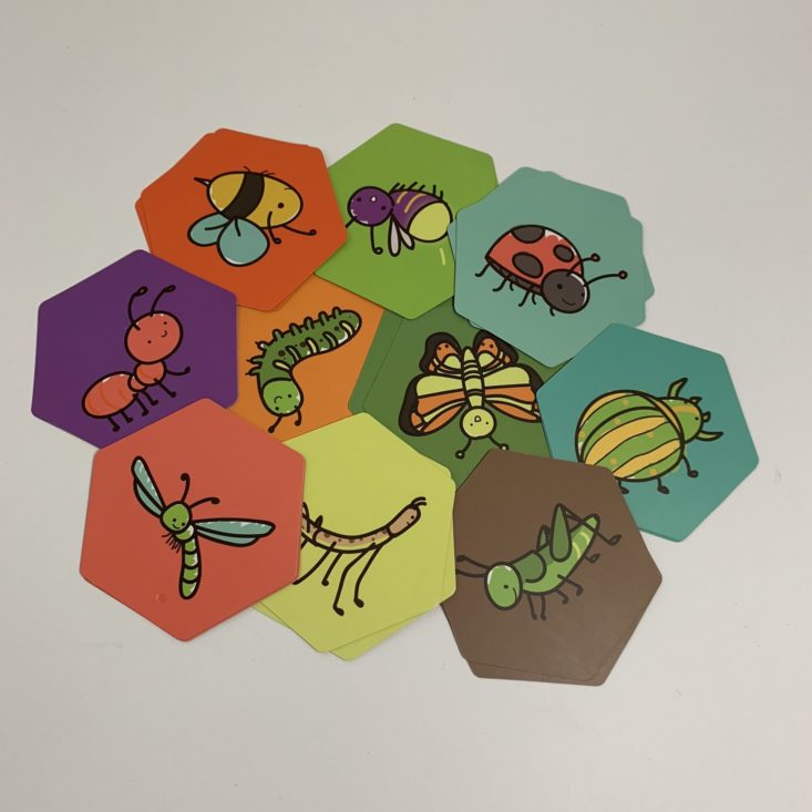 Koala Crate Bugs Review March 2019 - Bug Matching Game Materials Top