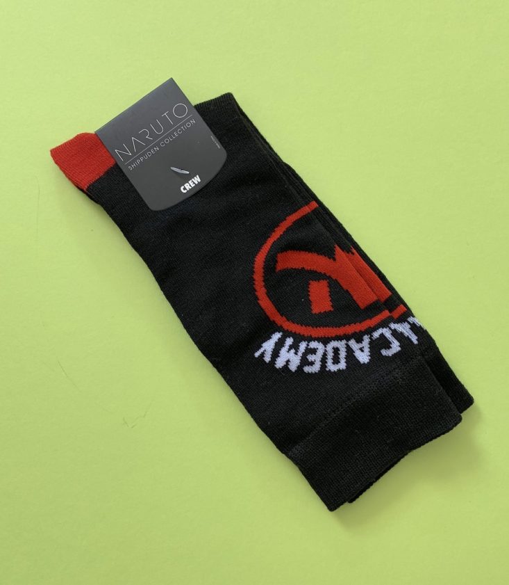 Loot Socks “Transformation” Review February 2019 - Pair 2a Top