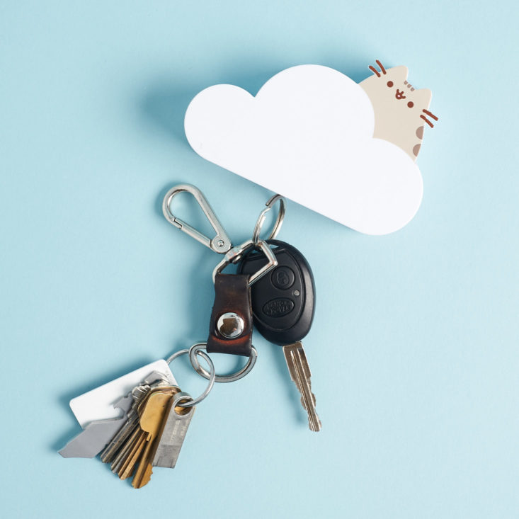 Pusheen Cloud Key Holder with keys