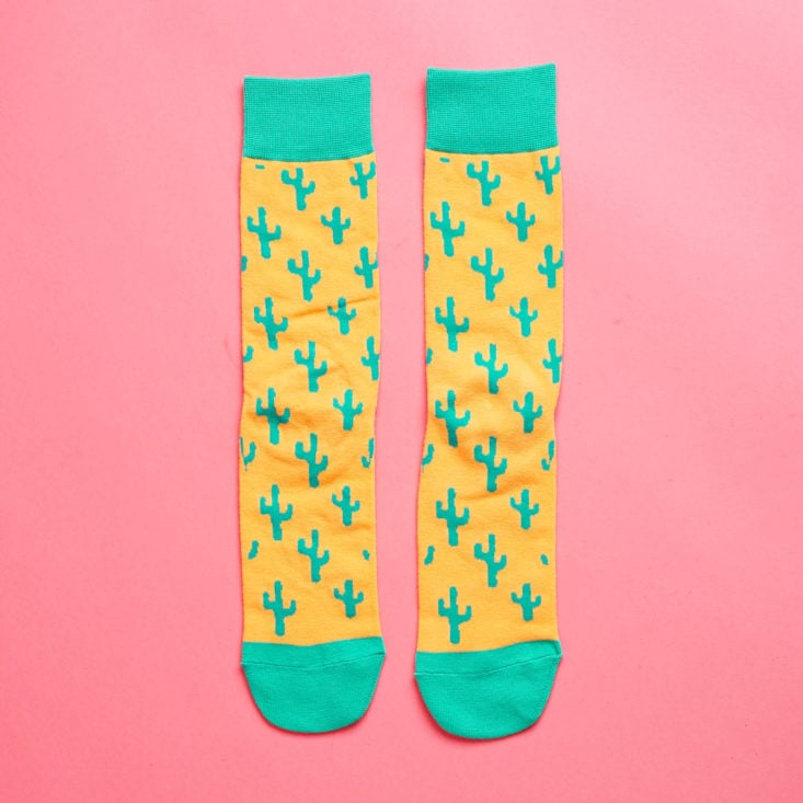 Say It With A Sock Mens April 2019 cactus patterned socks