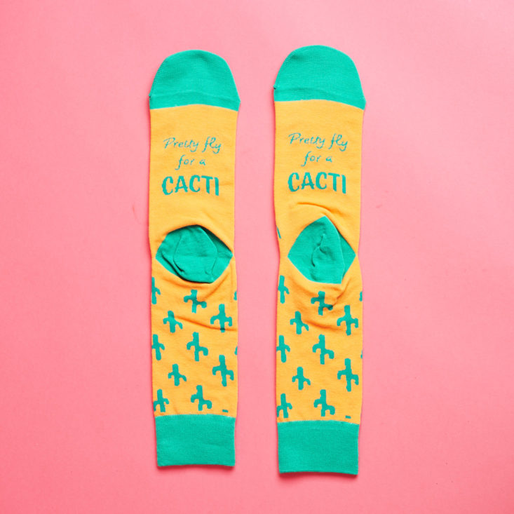 Say It With A Sock Mens April 2019 socks with cactus pattern