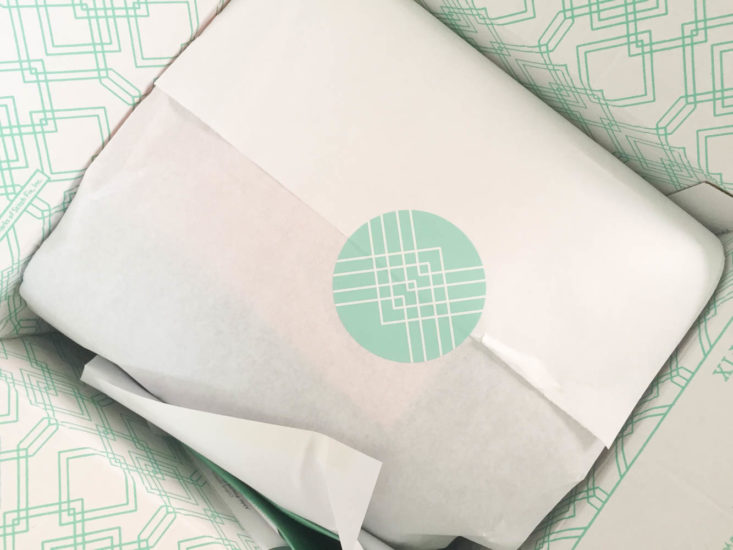 Stitch Fix Plus Size Clothing Subscription Box Review April 2019 - Open Box Top
