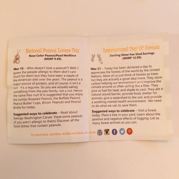 Unboxing The Bizarre Chic Boutique Review March 2019 - Information Card 2 Inside Top