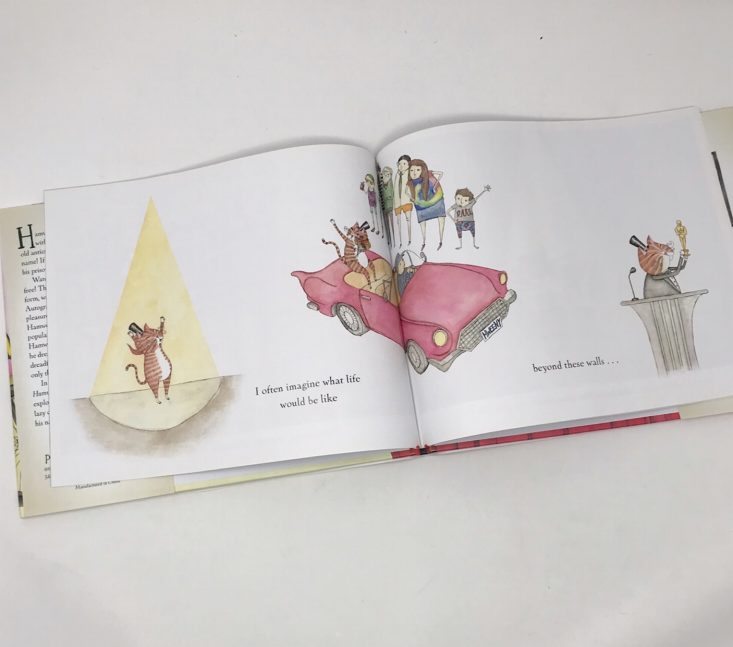 owl post books may 2019 review the amazing hamweenie illustrations