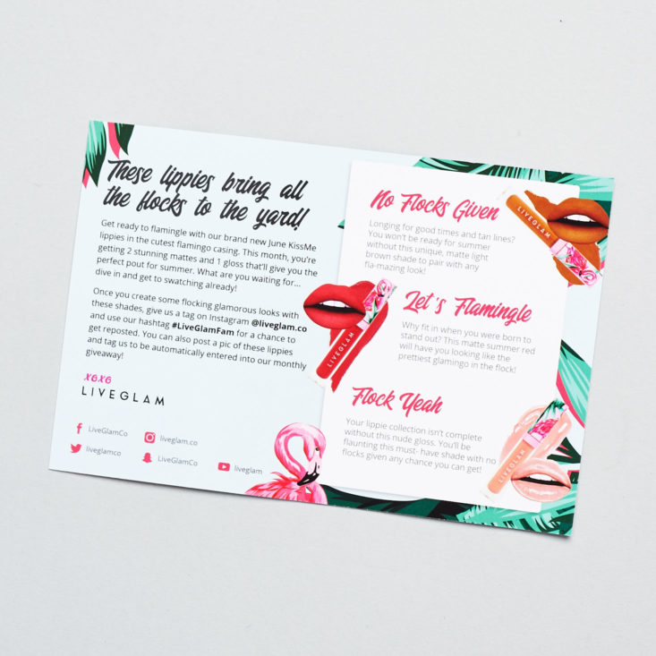 Kiss Me by Liveglam June 2019 makeup subscription review info card