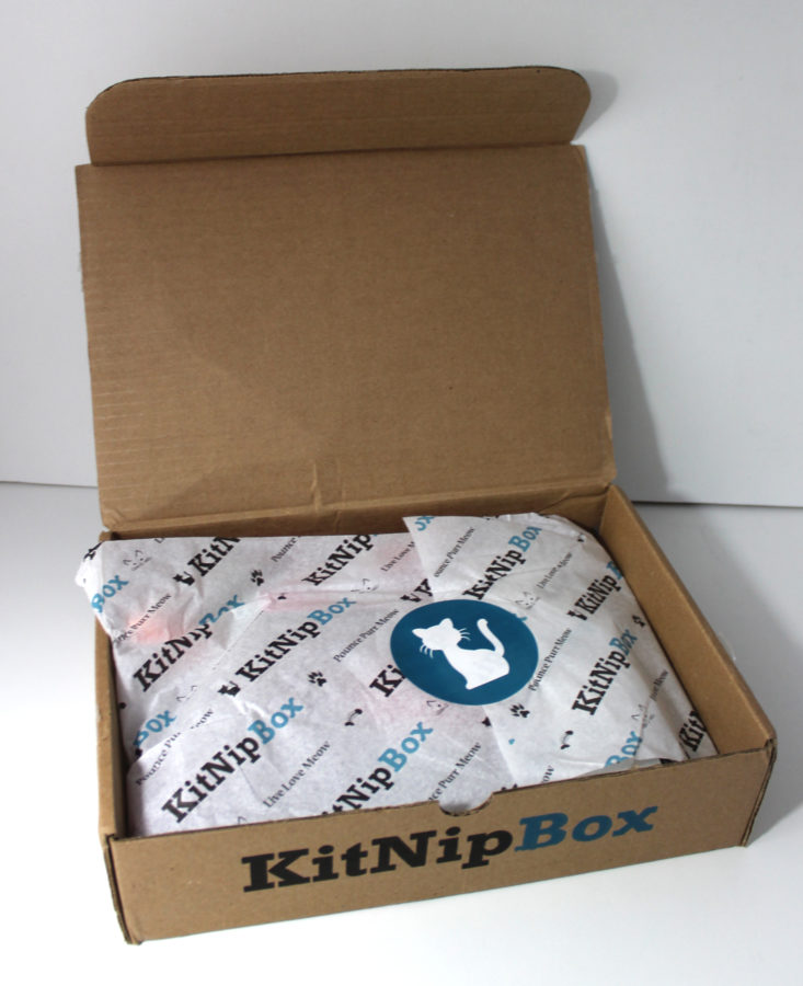 KitNipBox May 2019 Review - Box open Inside Front
