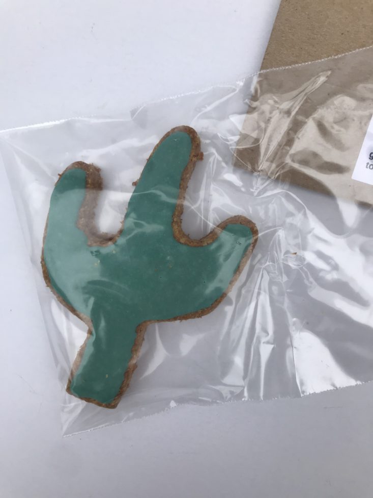 Mini Monthly Mystery Box For Dogs May 2019 - Emmy’s Gourmet Canine Creations Cactus Cookie Top