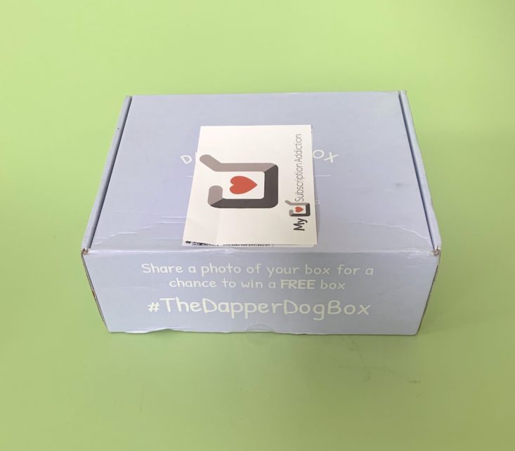 June 2019 Dapper Dog Box - Box