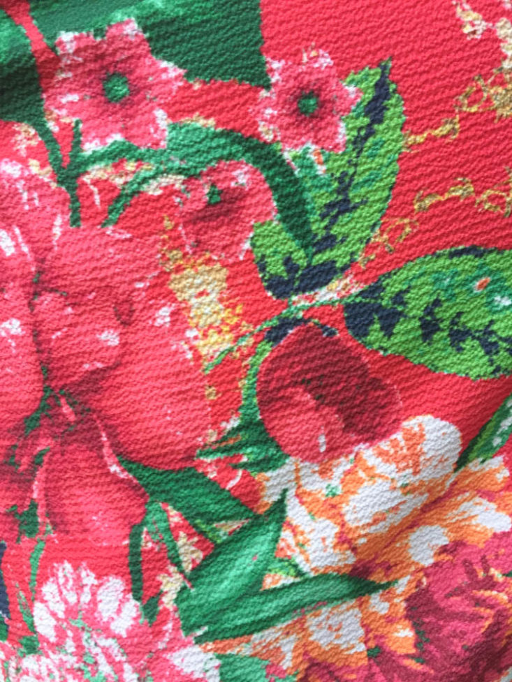 Gwynnie Bee June 2019 - Border Print Red Floral Dress 2
