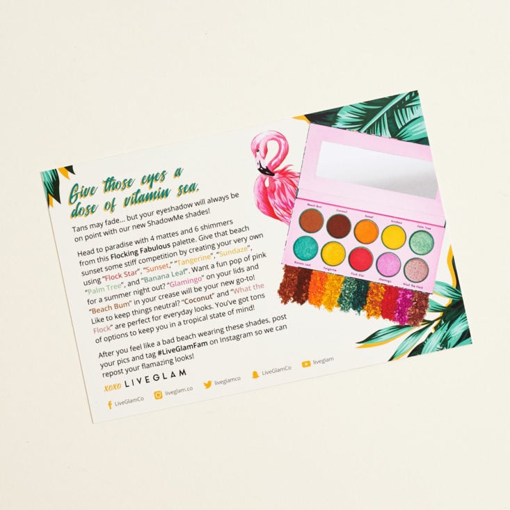 back of palette info card displaying eyeshadow shades