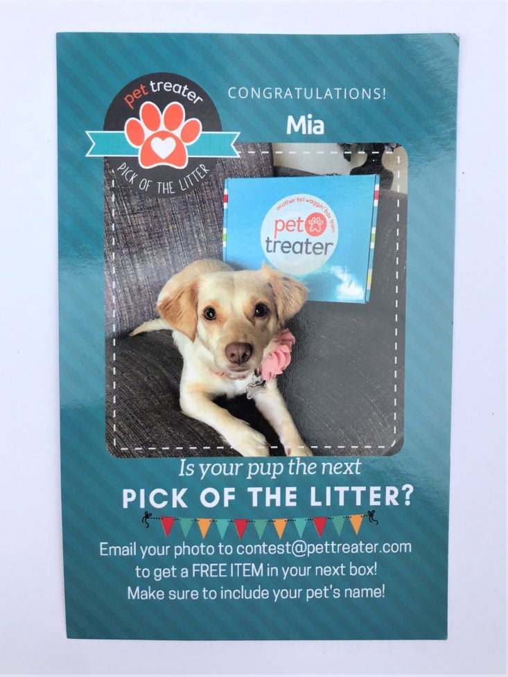Mini Monthly Mystery Box For Dogs July 2019 - Is Yours Pick Of The Litter