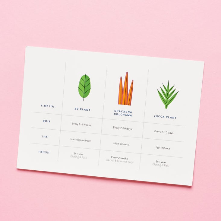 back of card with care guide for different plants