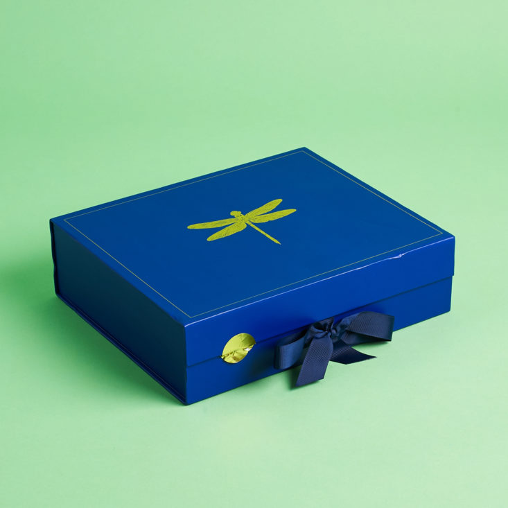blue dragonfly box
