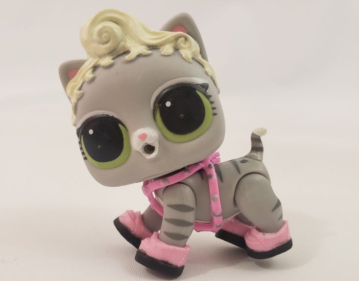 LOL Summer Box Review 2019 - Kitty Cat With Her Collar And Shoes Front