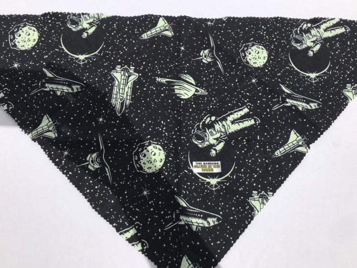 Mini Monthly Mystery Box For Dogs August2019 - Glow in the Dark Space Bandana