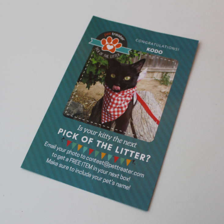 Pet Treater Cat August 2019 - Booklet Front Top