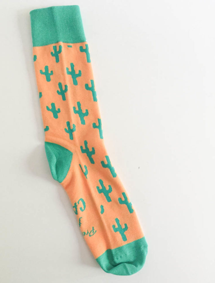 Say It With A Sock Men’s Two Pair July 2019 - Cactus Side Top