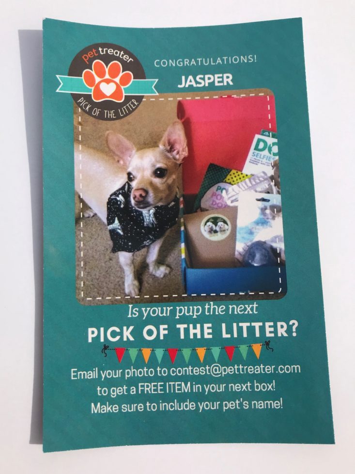 Pet Treater Dog September 2019 - Pick Of The Litter Front