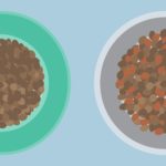 16 Best Dog Food Subscriptions of 2019