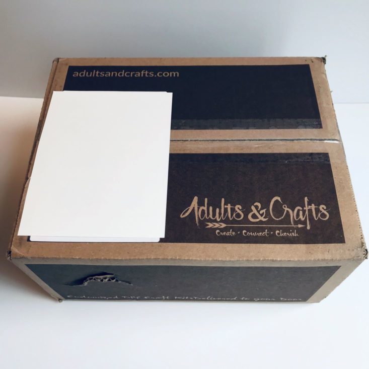 Adults and Crafts Nov 2019 Box unopened
