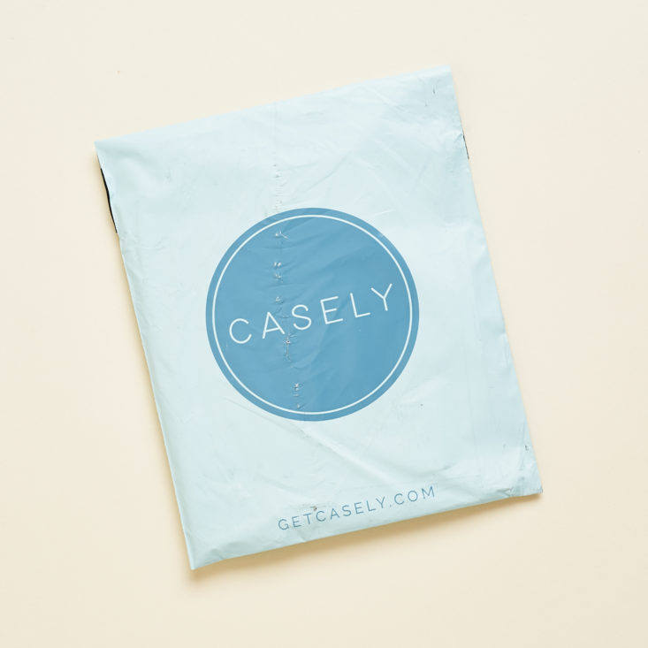 Casely November 2019 iphone case subscription review