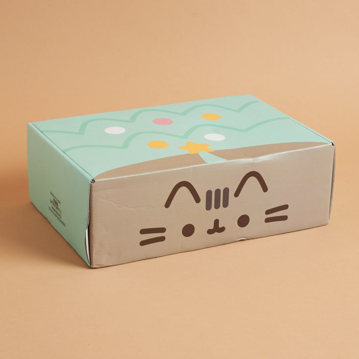 Pusheen Box Review - Winter 2019 featuring holiday themed box