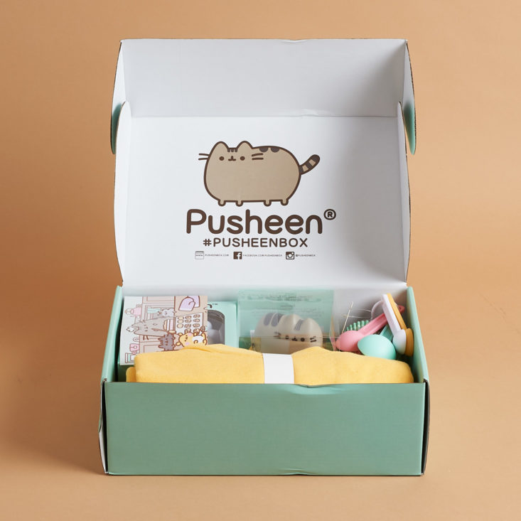 open Pusheen box